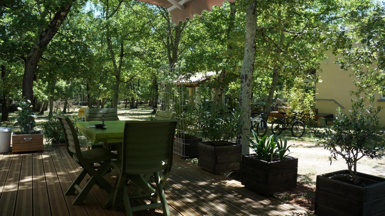 Holiday home Clos L'oustal